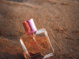 عطر جیونچی ایرسیستیبل برند کالکشن 026