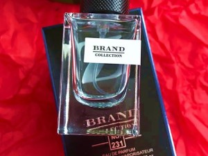 عطر ایو سن لوران وای برند کالکشن 231