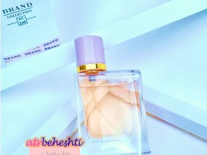 عطر باربری هر برند کالکشن 246