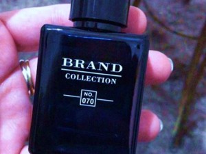 عطر بلو شنل برند کالکشن 070