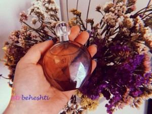 عطر گرمی استیل جنیفر لوپز