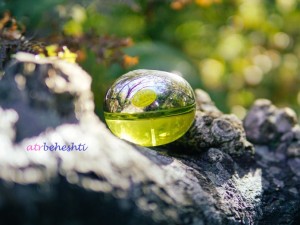 عطر گرمی بی دلیشز