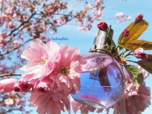 عطر گرمی اکلت لانوین