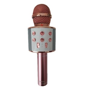 میکروفون پرووان مدل ProONE PBM01 در بروزکالا