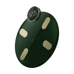 ترازوی بدن هوشمند شیائومی Haylou Smart Body Fat Scale CM01در بروزکالا