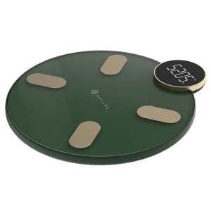ترازوی بدن هوشمند شیائومی Haylou Smart Body Fat Scale CM01در بروزکالا