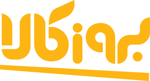 طراحی فروشگاه اینترنتی بروزکالا