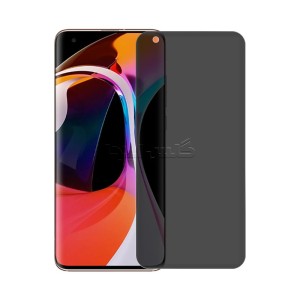 گلس هیدروژلی پرایوسی شیائومی Xiaomi Mi 10 5G