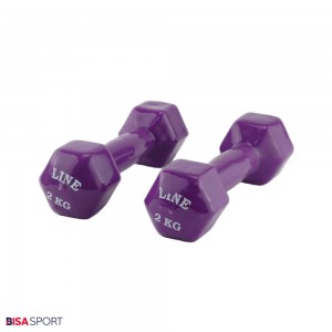 دمبل 2 کیلوگرمی روکش دار لاین مدل BS-38