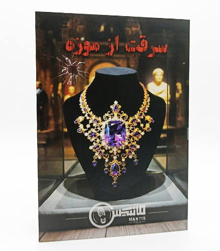 سرقت از موزه