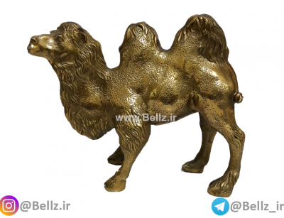 مجسمه شتر برنزی