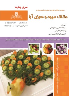 کتاب حکاک میوه و سبزی آرا تالیف جمعی از مولفین