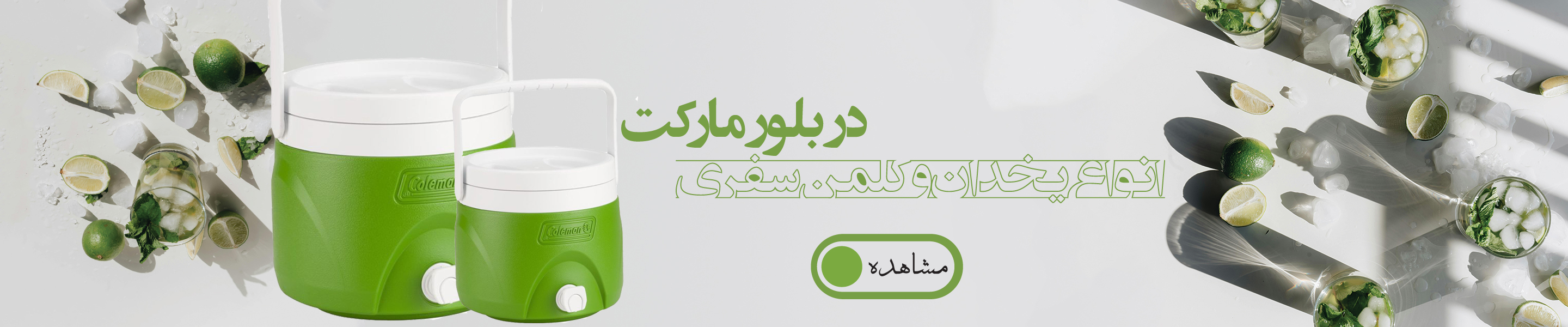 یخدان مسافرتی