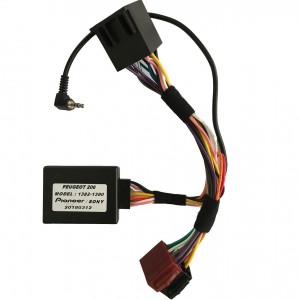 Interface اینترفیس پايونير به 206 سال 93 به بالا