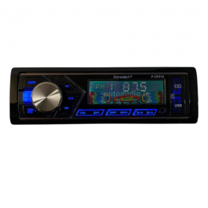 پخش ماشین پاناتک مدل Panatech CP-219