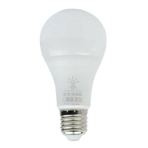 لامپ حبابی LED پرتوسازان Partosazan E27 15W