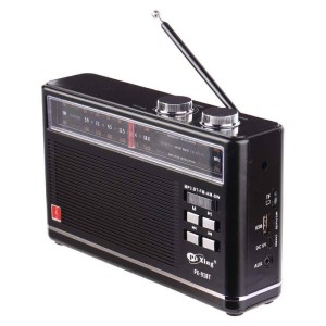 رادیو اسپیکر بلوتوثی پوکسینگ PX-91BT