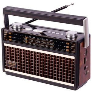 رادیو اسپیکر بلوتوثی رم و فلش خور Meier M-1926BT