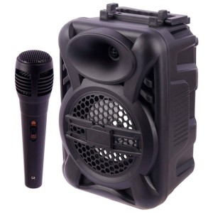 اسپیکر بلوتوثی رم و فلش خور YD-1203 + میکروفون