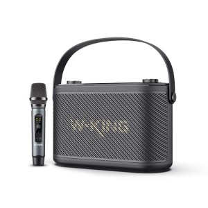 اسپیکر بلوتوث دبلیو کینگ W-King H10S توان 80 رم و فلش خور با میکروفون