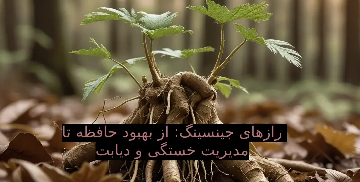 رازهای  جینسینگ: از بهبود حافظه تا مدیریت خستگی و دیابت