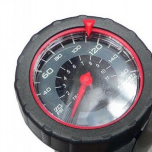 تلمبه زمینی جاینت مدل Control Tower 2 HP/HV