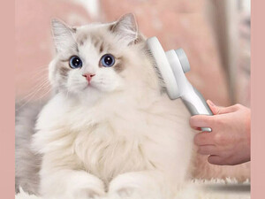 قیمت برس حیوانات خانگی یوپین شیائومی Youpin Janes pet comb