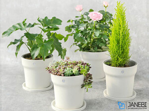 گلدان هوشمند شیائومی Xiaomi Smart Flowerpot