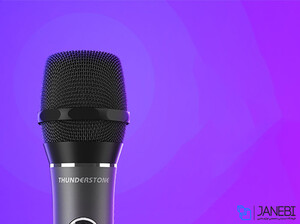 میکروفن بی سیم شیائومی Xiaomi Leishi KTV Professional Wireless Microphone