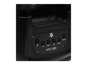 اسپیکر بلوتوثی رم و فلش خور KTS-1265