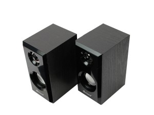 اسپیکر دو تکه Kisonli T-001