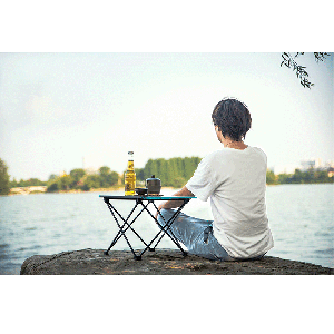 میز تاشو آکاردئونی شاین تریپ لارج مدل A292
