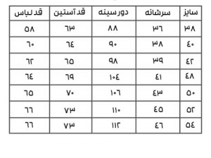 لباس پیرهن دوچرخه سواری  CRANE تیشرت دوچرخه