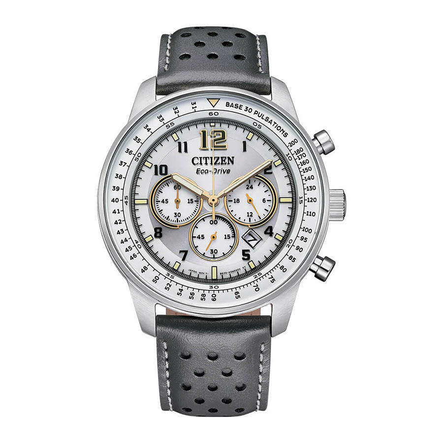 CA4500-24H