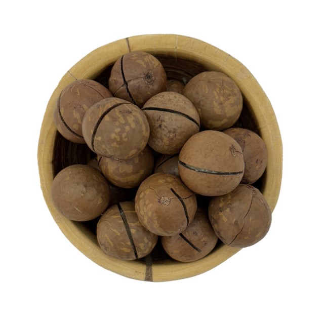 ماکادمیا اصل