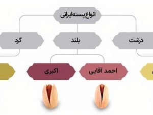پسته های ایرانی را بشناسیم