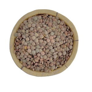عدس پلویی
