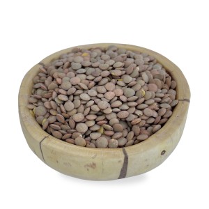 عدس پلویی