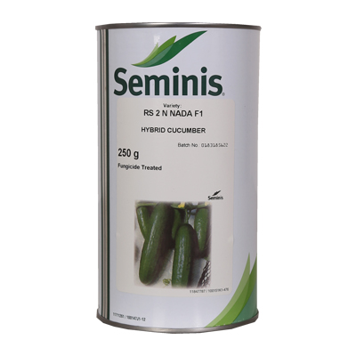 بذر خیار هیبرید 2n (رویال) سمینیس