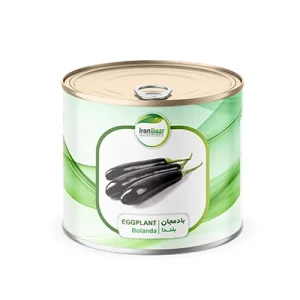 بذر بادمجان استاندارد بلندا ایران بذر