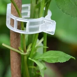 بست نگهدارنده بوته گلخانه ( گیره بوته )