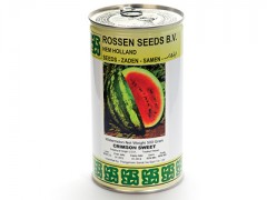 بذر هندوانه استاندارد کریمسون سوئیت روزن سیدز