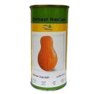 بذر کدو حلوایی استاندارد زربذر ایرانیان