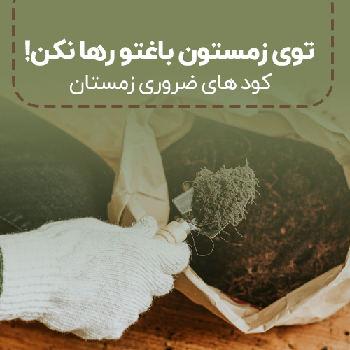 فروش عمده و همکاری