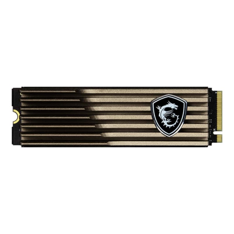 اس اس دی اینترنال ام اس آی مدل SPATIUM M460 HeatSink M.2 2280 NVMe ظرفیت 1TB