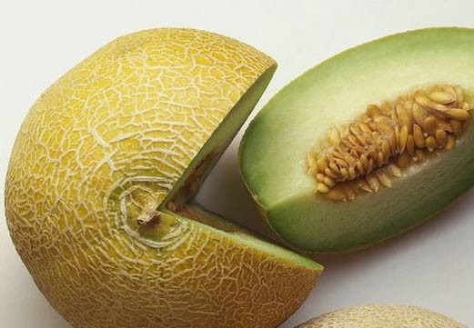 آشنايي با خواص و مضرات خربزه