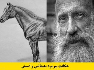حکایت پیرمرد بد شانس و اسبش + حکایت دزد سر گردنه
