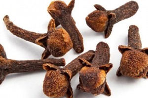 روزی ۲ گل میخک میل کنید (مطلب)