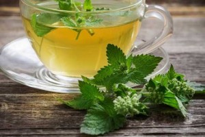درمان بیماری‌ها با گیاه بادرنجبویه (مطلب)