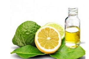 هر آنچه که باید از خواص ترنج در طب سنتی دانست (مطلب)